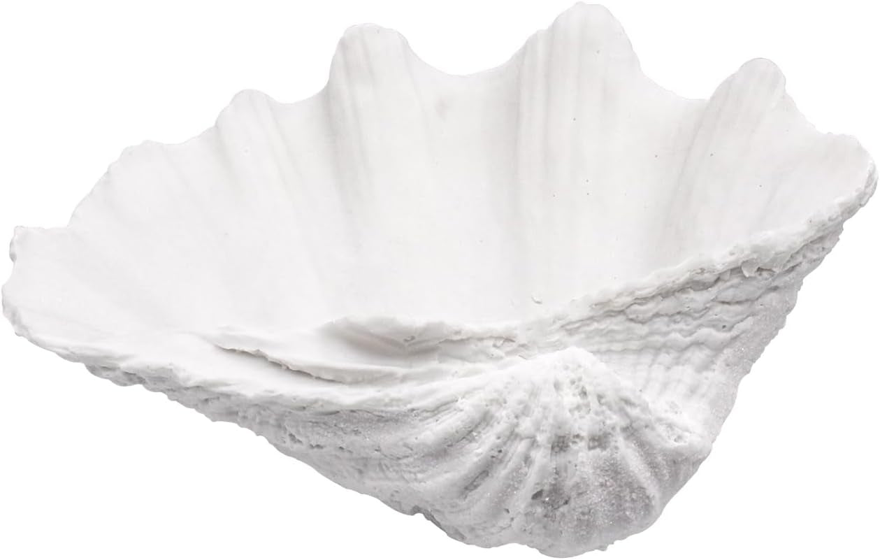 Anita Store White Clam Shell Bowl as an entryway catch-all