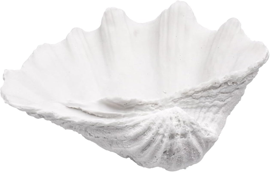 Anita Store White Scalloped Clam Shell Bowl Coastal Decor