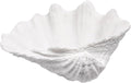 Anita Store White Scalloped Clam Shell Bowl Coastal Decor