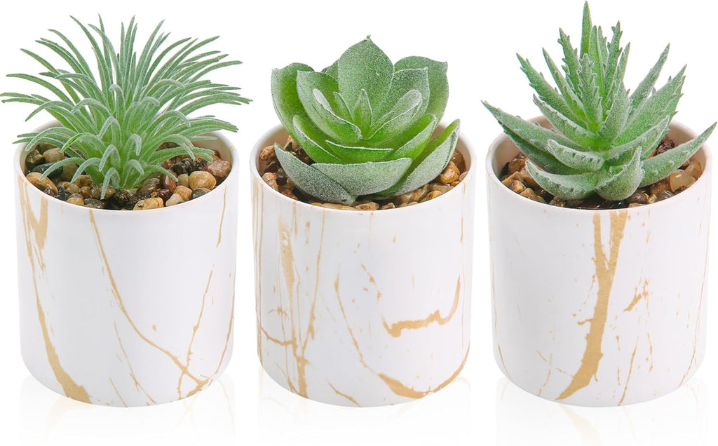 Anita Store Mini Faux Succulents Set of 3 Home Decor