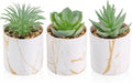 Anita Store Mini Faux Succulents Set of 3 Home Decor