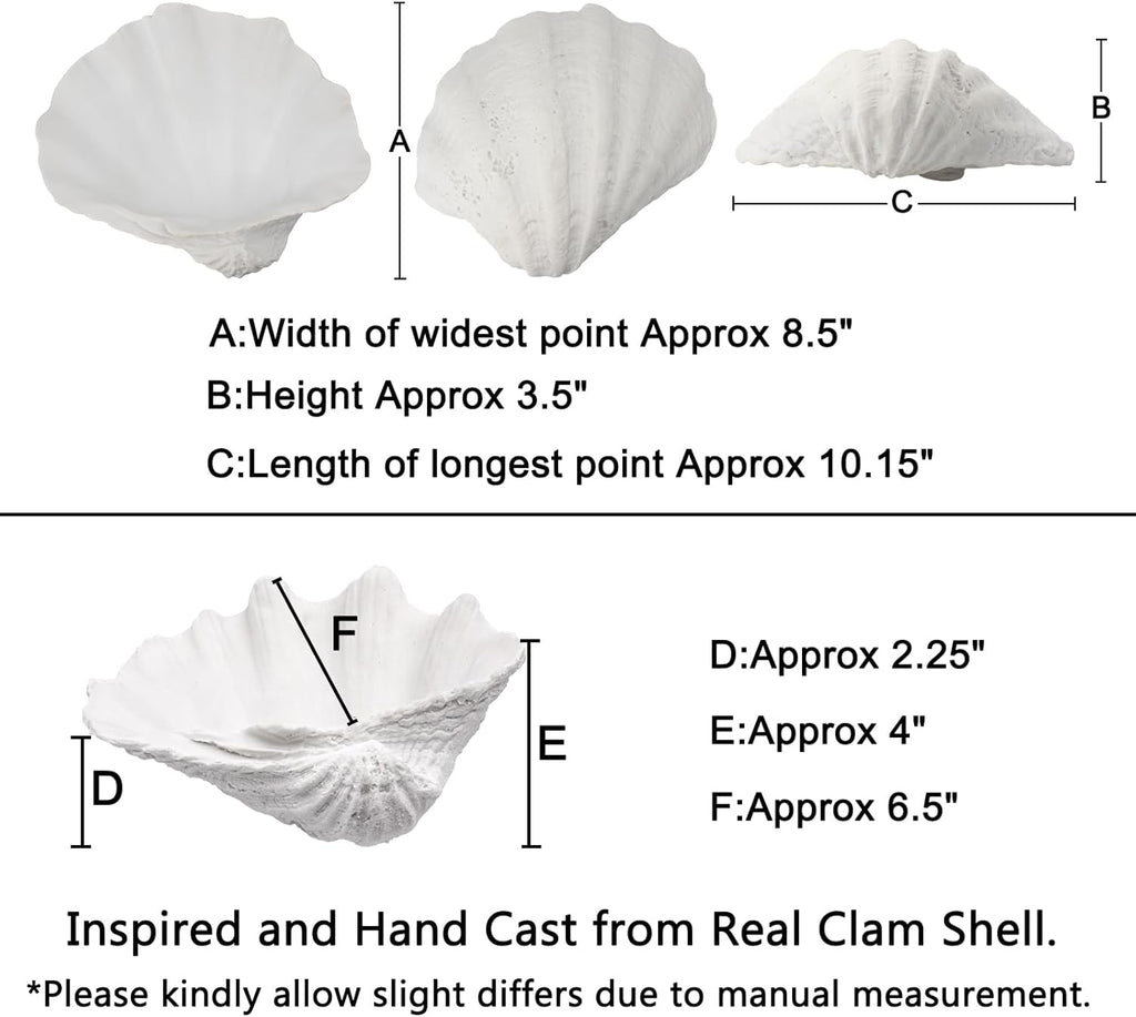 Medium White Scalloped Clam Shell Bowl Sea Shell Decor for Nautical Beach House,Coastal Decor Gift of Housewarming and Wedding Party